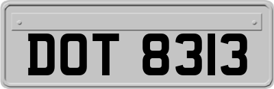 DOT8313