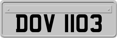 DOV1103