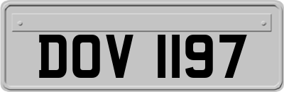 DOV1197