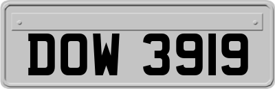 DOW3919
