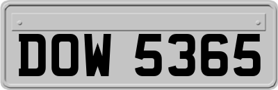 DOW5365