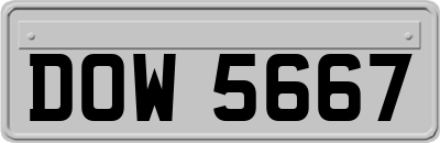 DOW5667