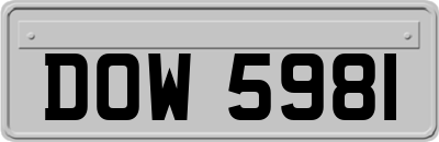 DOW5981