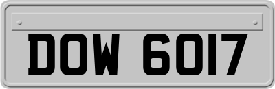 DOW6017