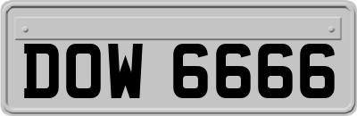 DOW6666