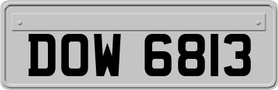 DOW6813