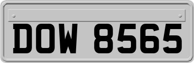 DOW8565