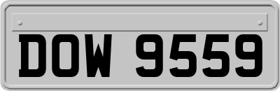 DOW9559