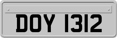 DOY1312