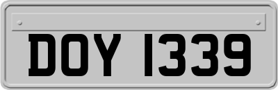 DOY1339