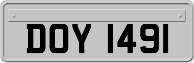 DOY1491