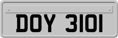 DOY3101