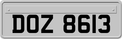 DOZ8613