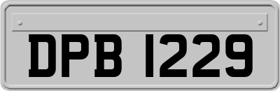 DPB1229