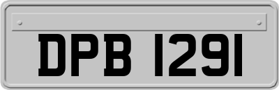 DPB1291