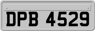 DPB4529