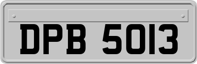 DPB5013