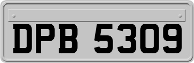 DPB5309