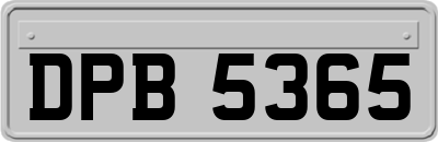 DPB5365