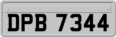 DPB7344
