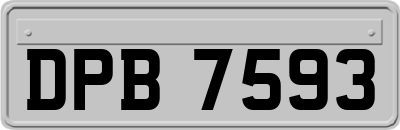 DPB7593