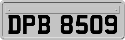 DPB8509