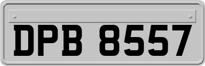 DPB8557