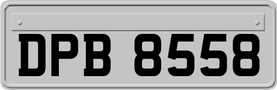 DPB8558