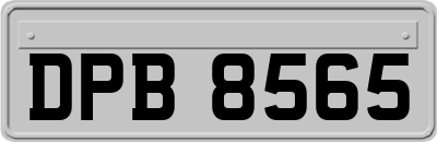 DPB8565