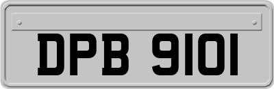 DPB9101