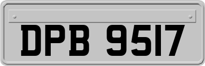 DPB9517