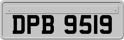 DPB9519
