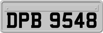 DPB9548