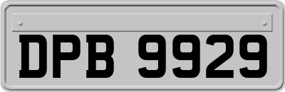 DPB9929