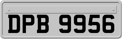 DPB9956