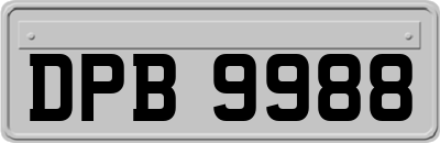DPB9988