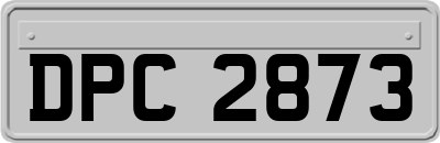 DPC2873