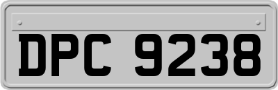 DPC9238