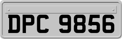 DPC9856