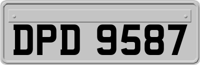 DPD9587