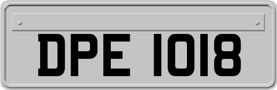 DPE1018