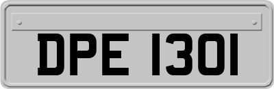 DPE1301