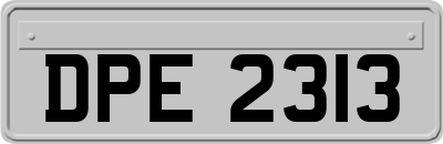 DPE2313