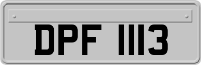 DPF1113
