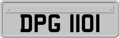 DPG1101