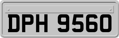 DPH9560