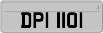 DPI1101