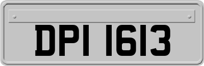 DPI1613