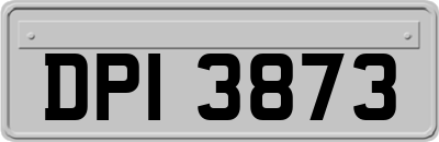 DPI3873