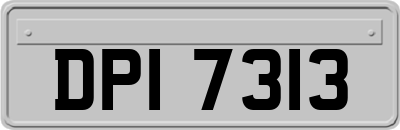 DPI7313